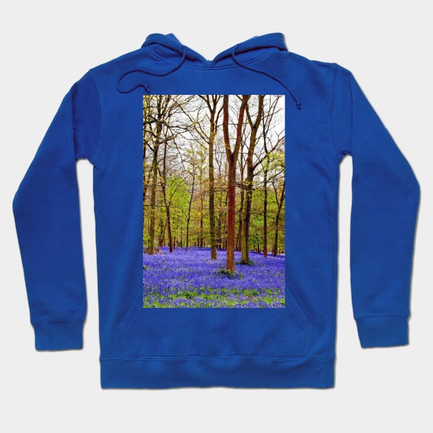 Bluebell Woods Greys Court England UK Hoodie by AndyEvansPhotos